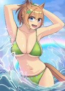 水着タイキシャトル