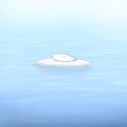 寝過ごしたアザラシ