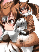 綺麗な羽フレンズ集合