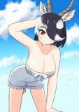 今日も暑いな、隊長。