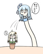 あかり草に水をやる葵ちゃんのはず