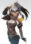 ハシビロちゃん