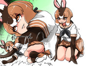 ネルウサギ