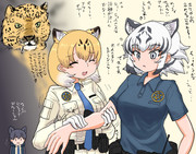 距離が近いヒョウおねーちゃん