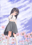 秋桜