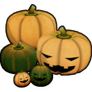 南瓜(イラコン用)