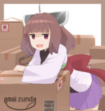 たくさん買って箱の置き場所に困るきりたん