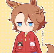 ポケットサイズ