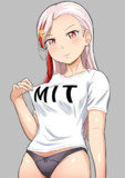 変なTシャツを着用させられるマサチューセッツ