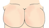 おっぱい