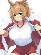 ほかほかタイキシャトル