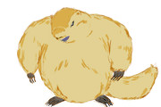 もりもりマーモット