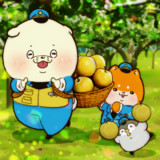 梨の日でした。