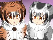 本で見たのとぜんぜん違う見た目なのです…