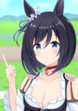 エイシンフラッシュ