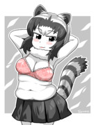 アライさんにお任せなのだー！