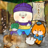 骨董の日でした。