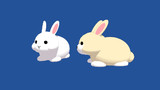 ウサギのディスプレイモデル