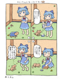 チルノちゃんと猫コンテスト