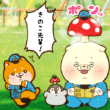 きのこの日でした。