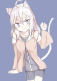 ねこあかりちゃ