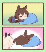 とろける寝心地