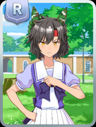 アサルトのRサポカ