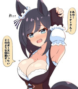 その調子だっ！フラッシュ！