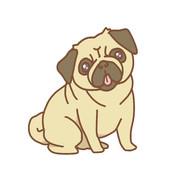 パグ