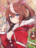 クリスマスなテイオーと会長！