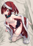 ガンライコウ（クリスマス）