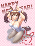 ヒシアケボノ［バニーガール］