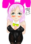 バニーガール衣笠