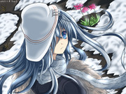 冬の響とネリネの花