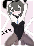 兎年☆