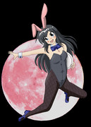 バニーガール朝潮と月