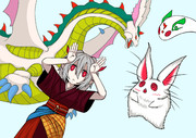 兎！