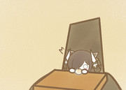 れいとうみかん