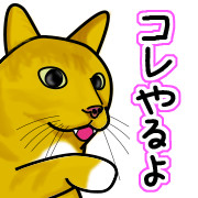 猫の恩返し？