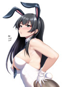 バニー阿賀野ん