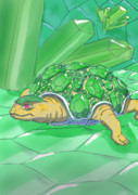 緑カメ