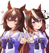 リーダーのシンボリルドルフとサブリーダーのシリウスシンボリ、二人合わせて…のやつ