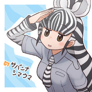 サバンナシマウマ