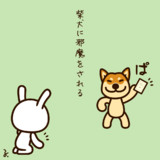 柴犬