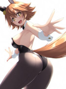 バニーフクキテルフクキタル