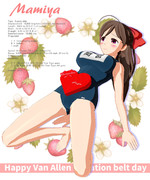 ジェームズ・ヴァン・アレン帯デー