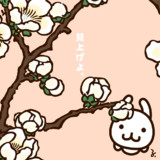 梅