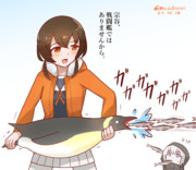 宗谷、戦闘艦ではありませんから。