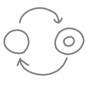 ［しんか］　［たいか］