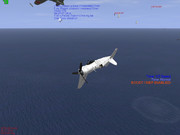 ざまあみろコルセア野郎！お前は地獄の海行きだ！